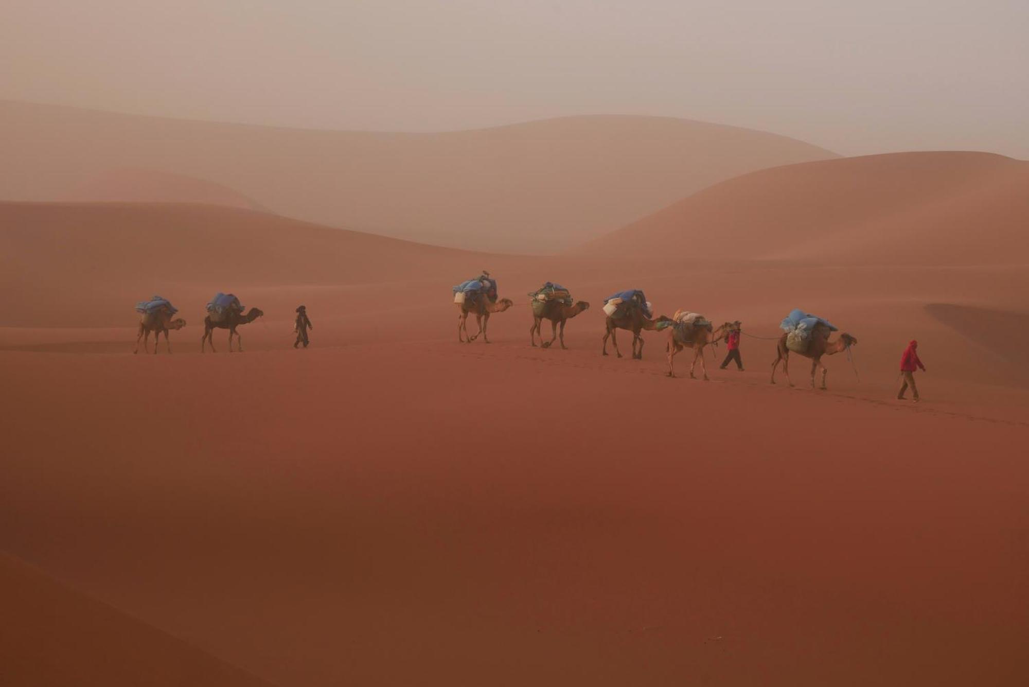 Jardin Du Desert M'Hamid Exterior foto