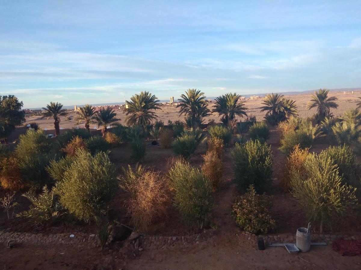 Jardin Du Desert M'Hamid Exterior foto